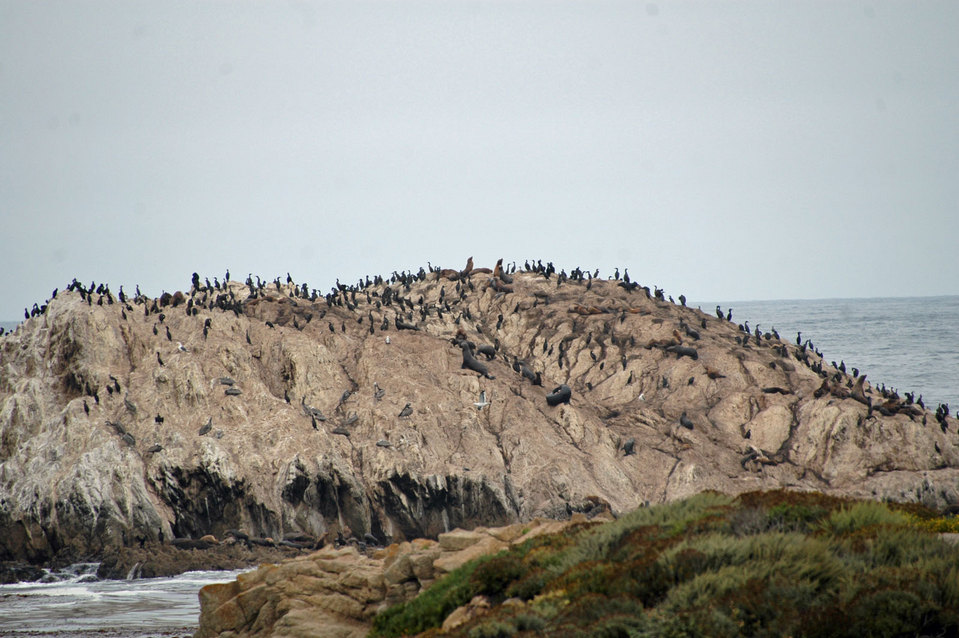 California Vacation 2011August  188